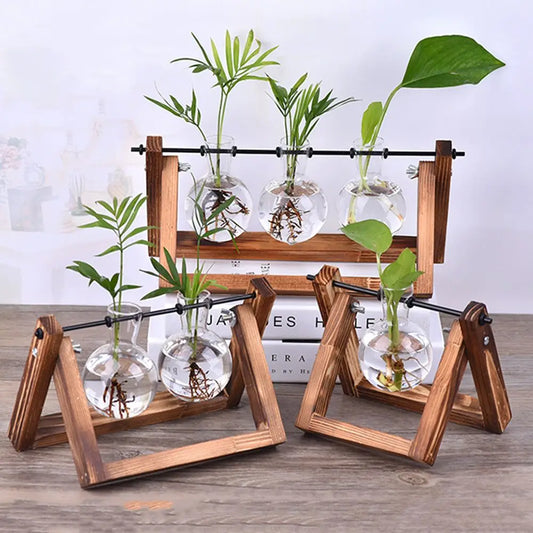 EcoChic Retreat: Vintage Glass Terrarium with Wooden Tray - Your Tabletop Garden Sanctuary